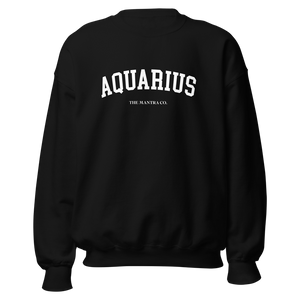 Aquarius Zodiac Crew